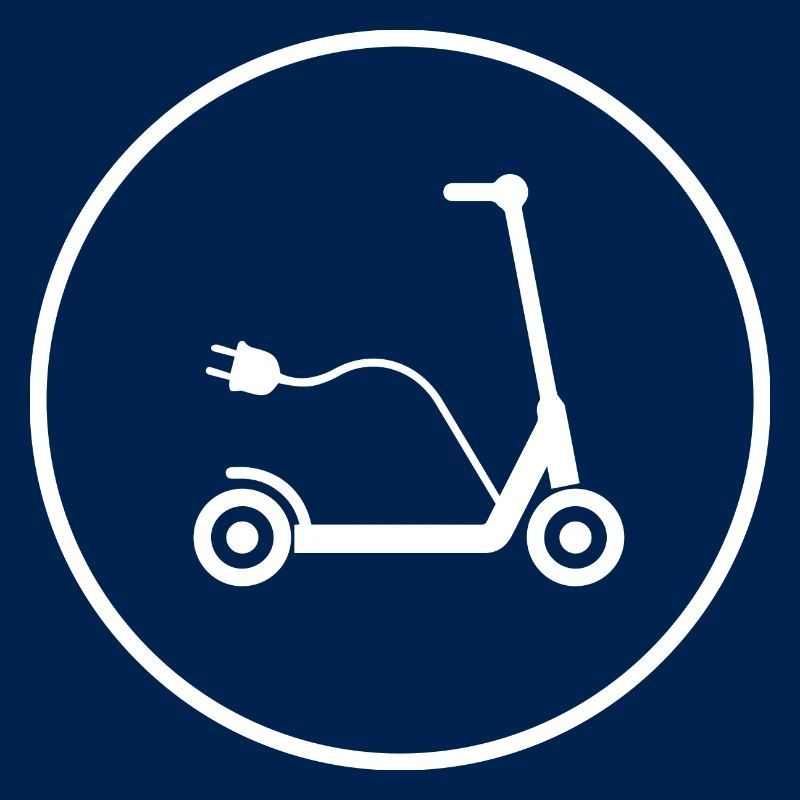 E-Scooter E-Roller Scooter