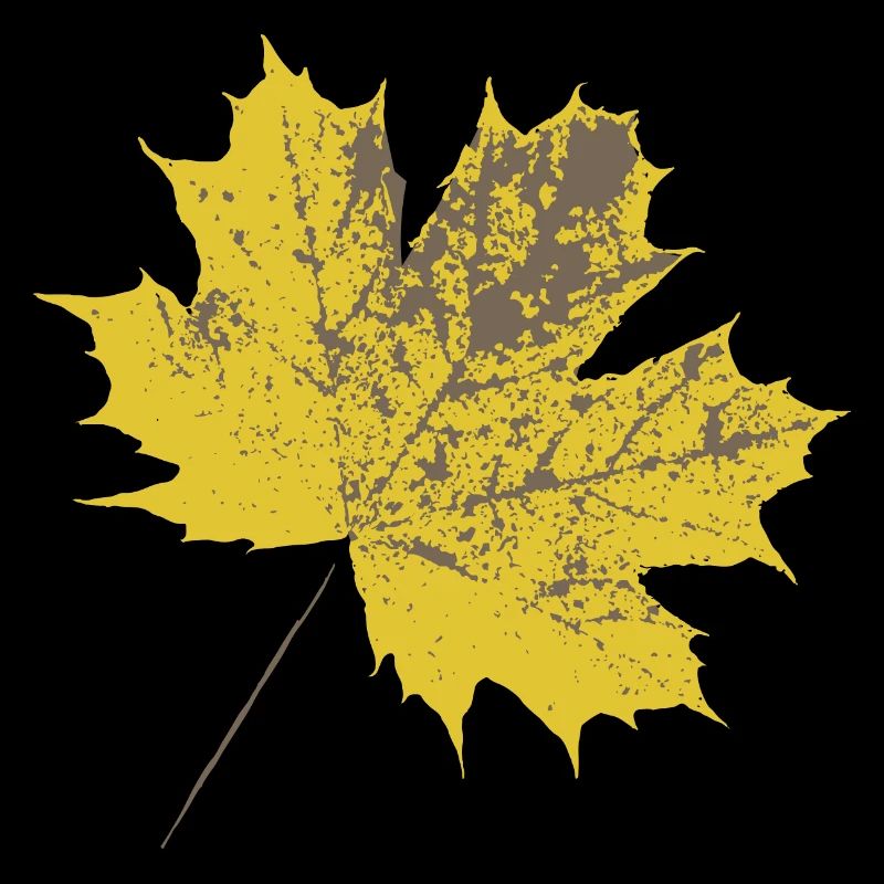 Yellow maple leaf