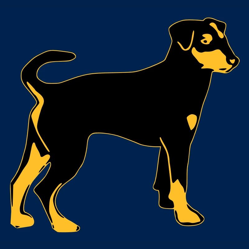 pinscher hund