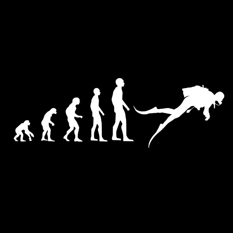 Evolution Tauchen