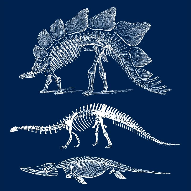 Évolution des dinosaures