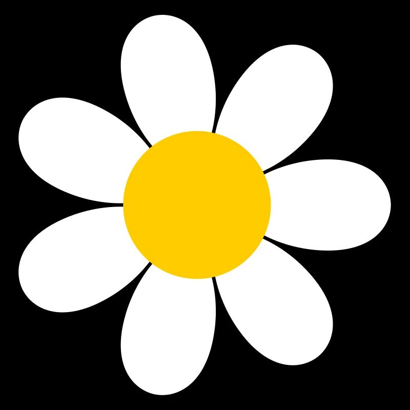 Daisy Flower