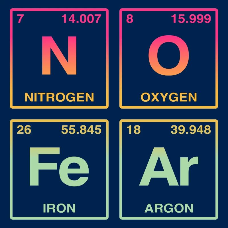 NO FEAR - avec des éléments du système de perdiode