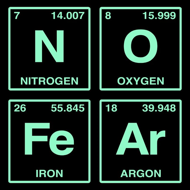 NO FEAR - with elements of the perdiode system