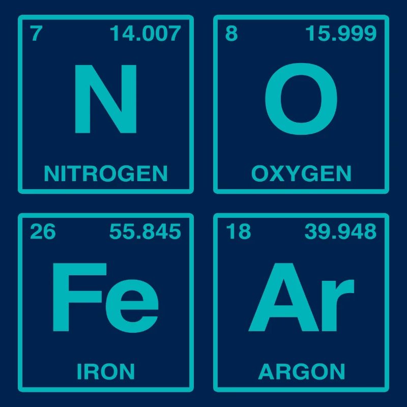 NO FEAR - avec des éléments du système de perdiode