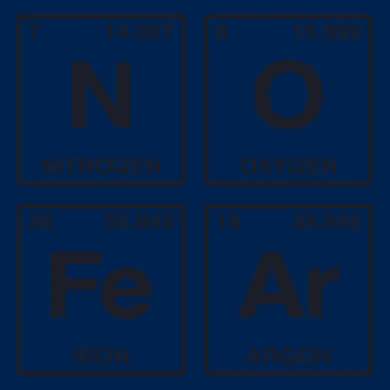 NO FEAR - avec des éléments du système de perdiode