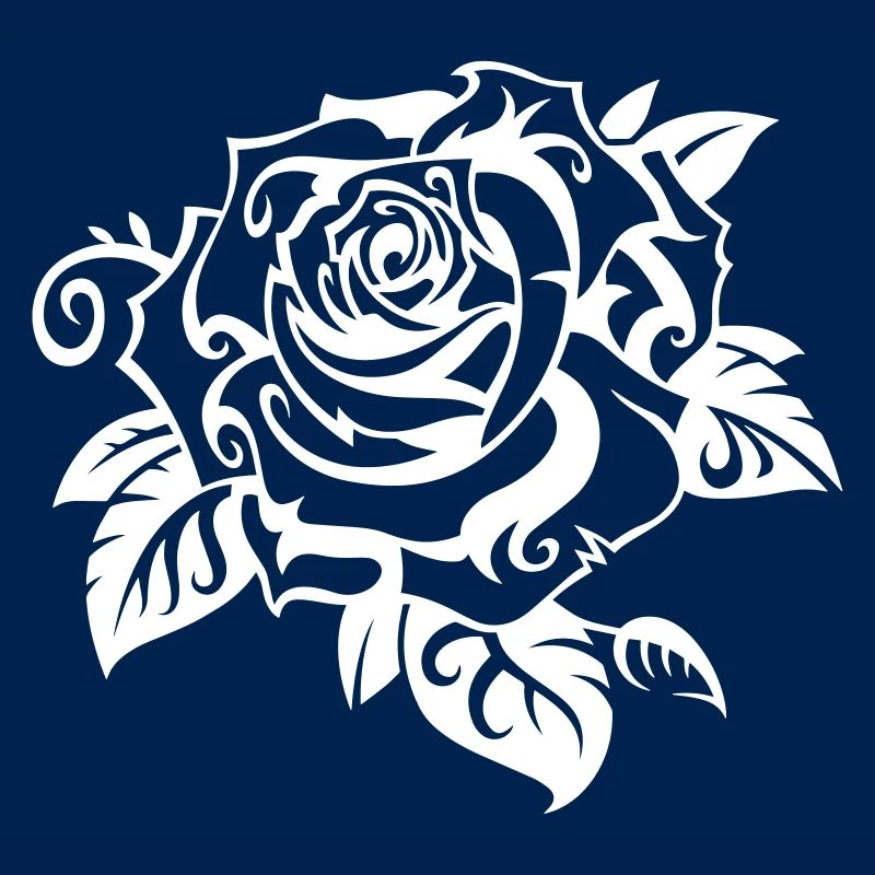 Rose blanche
