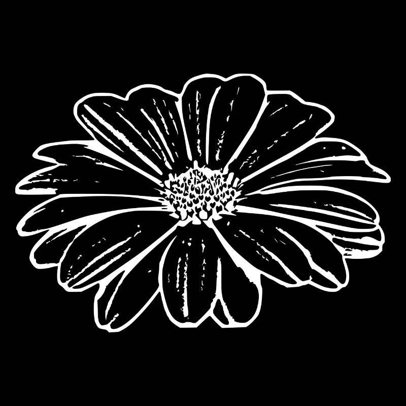 Blume weiß weiße Blumen Geschenk Muttertag Mutter