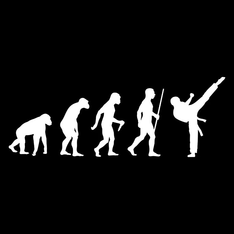 Kampfsport Karate Evolution Geschenkidee 005-096