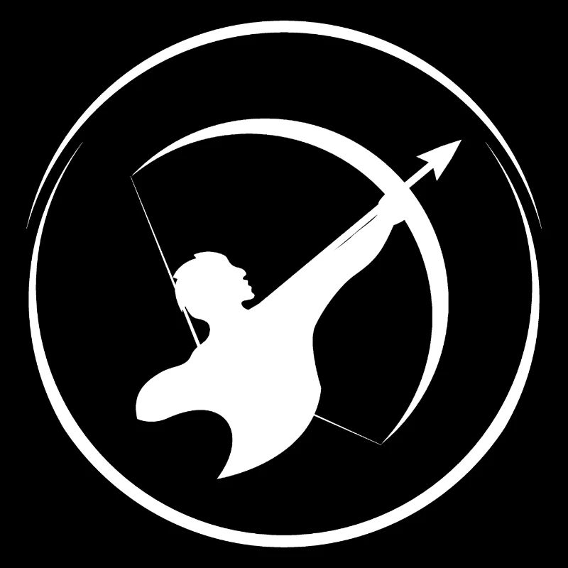 Archery Bow Arrow Archery Target