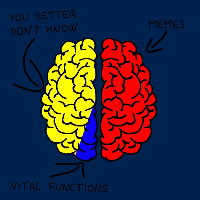 Brain - Brain - Memes