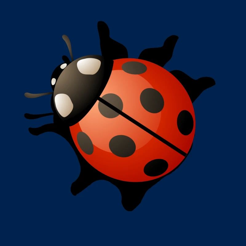 Marienkäfer Rot Geschenk Geschenkidee