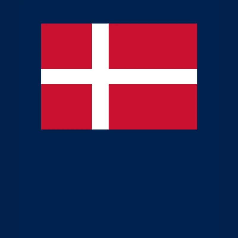 Danemark Drapeau Danois Drapeau Danmark Danemark