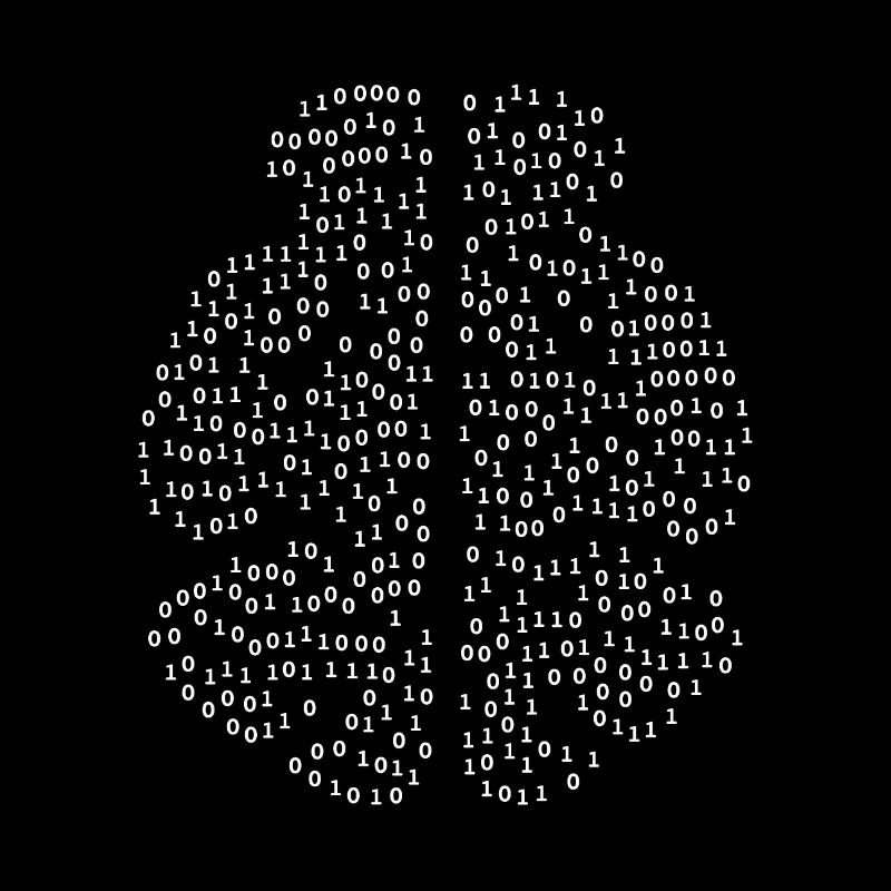 Binary Brain