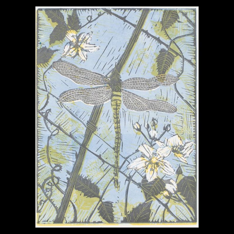 Dragonfly on Bramble Danielle Stretch