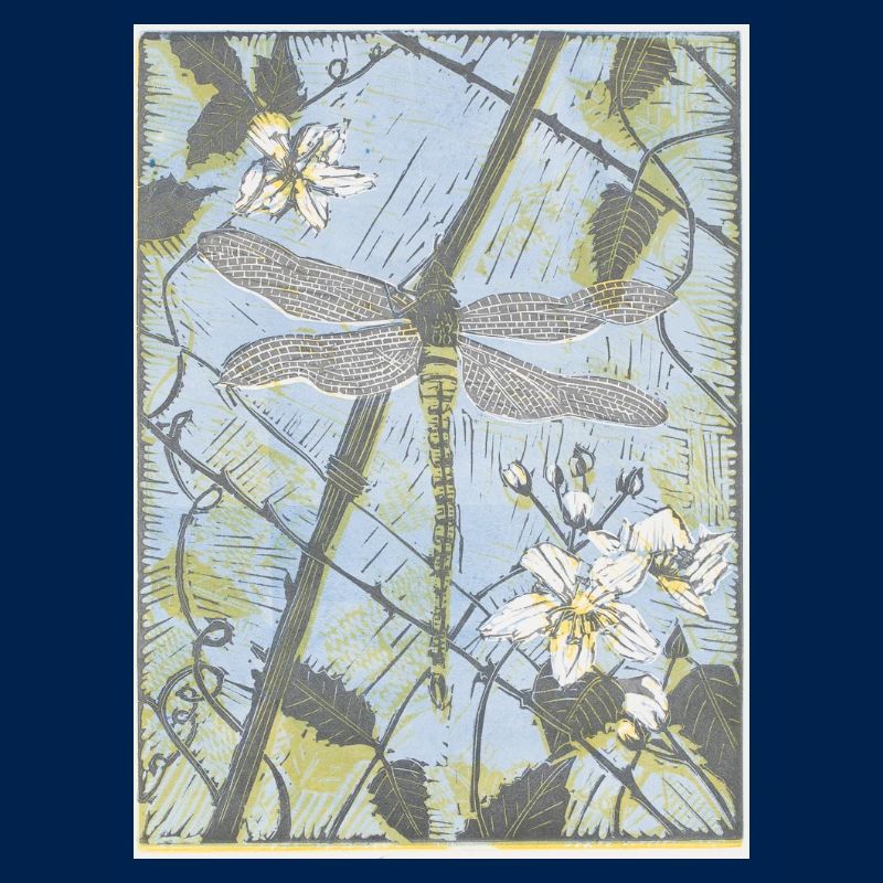 Dragonfly on Bramble Danielle Stretch