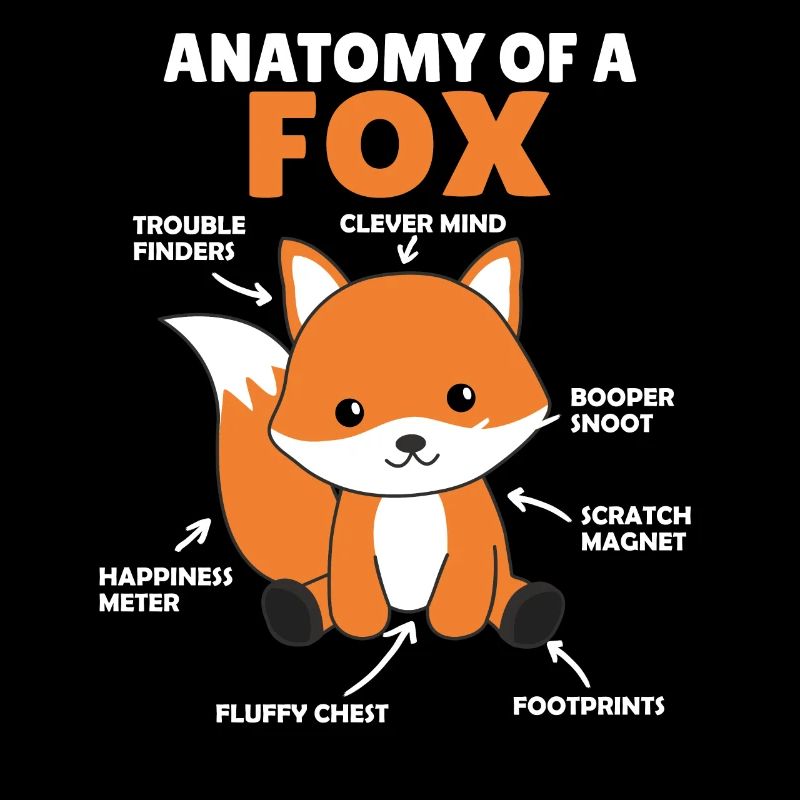 doux renard explication Anatomie d’un renard