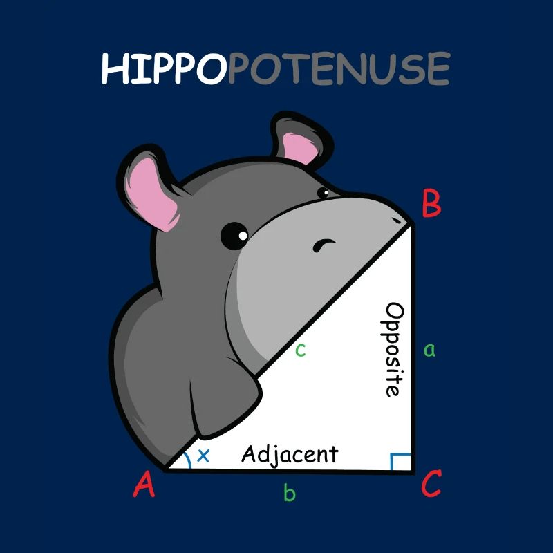 Hippopotenuse Math Genius Gift