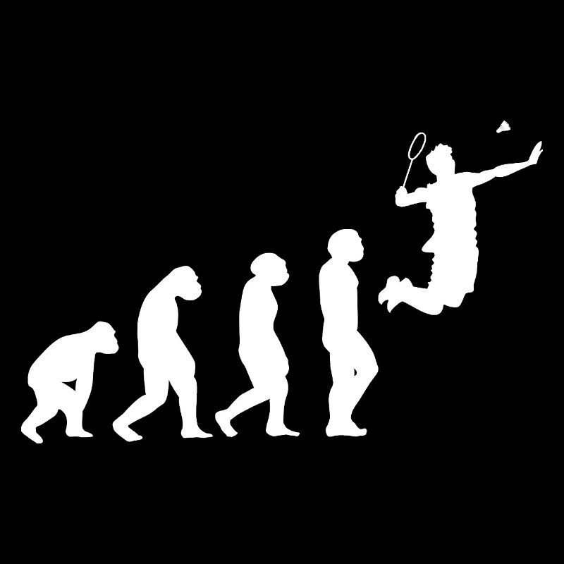 Federball Evolution Badminton