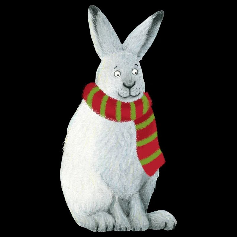 Arctic hare