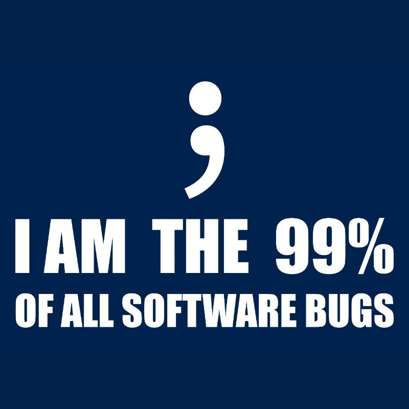 Informatiker, Programmierer