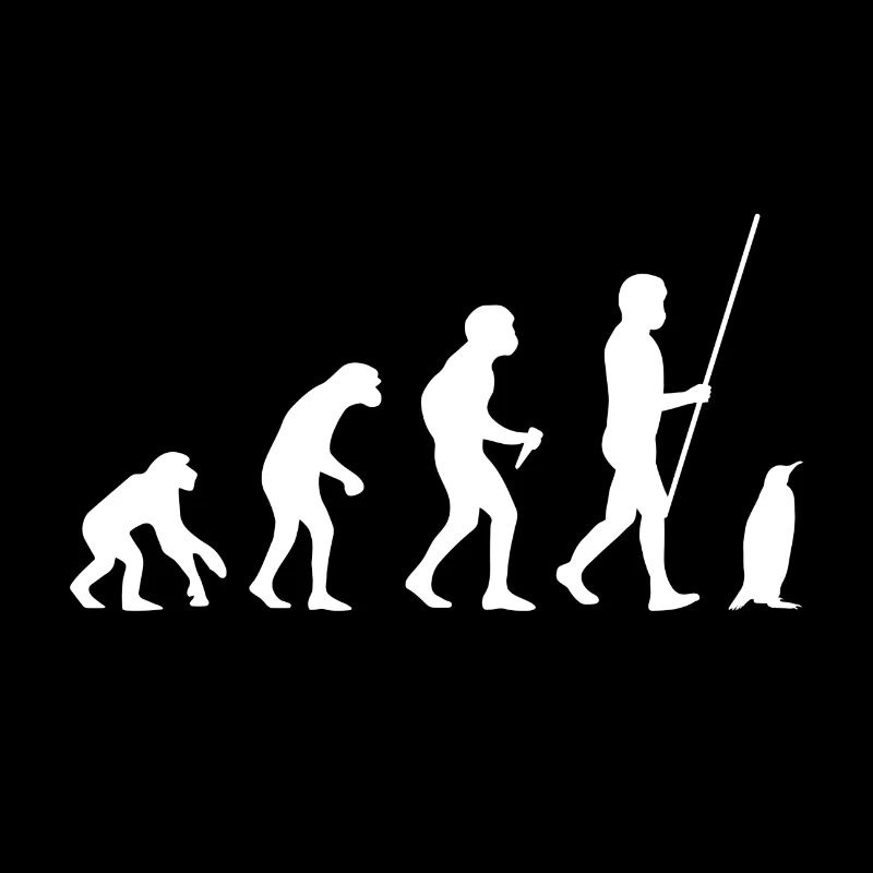 Évolution des pingouins