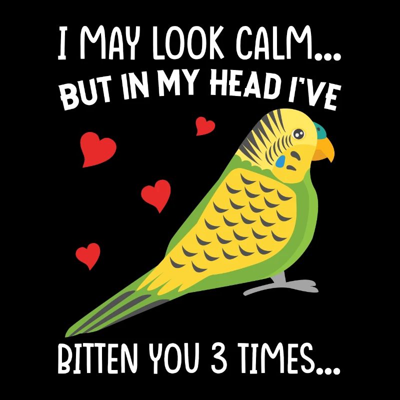 Budgerigar, Feathered Friend, Bird Watching