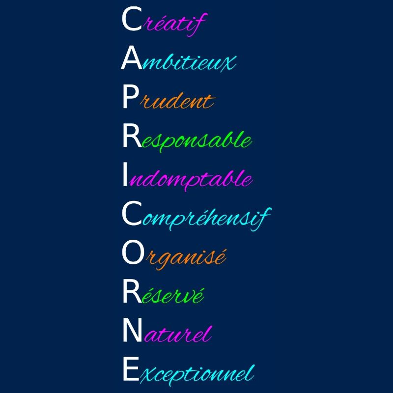CAPRICORNE Créatif Ambitieux Prudent Responsable