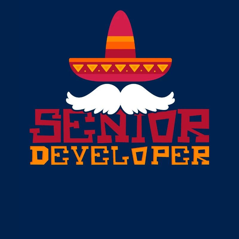 Senior Developer Programming Programmer