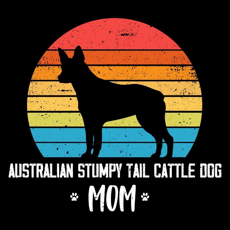 Australian Stumpy Tail Cattle Dog