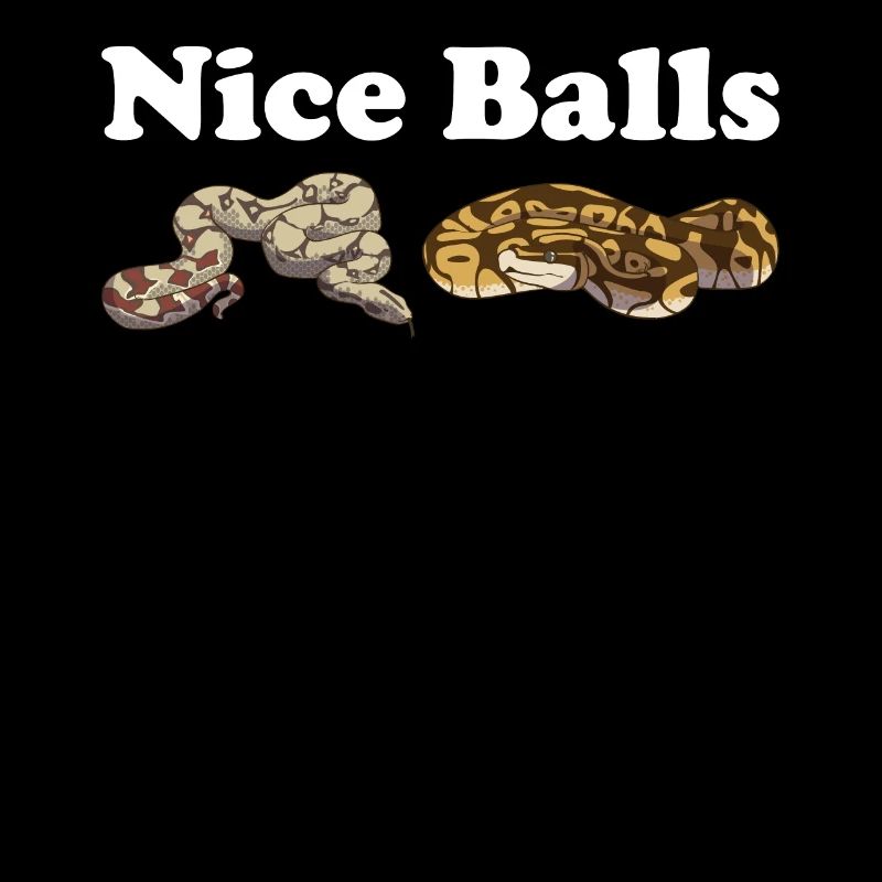 Funny Ball Python Snake