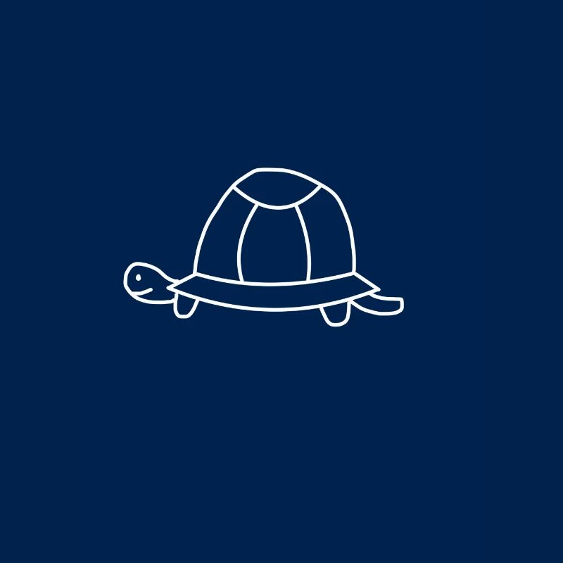 Turtle toad