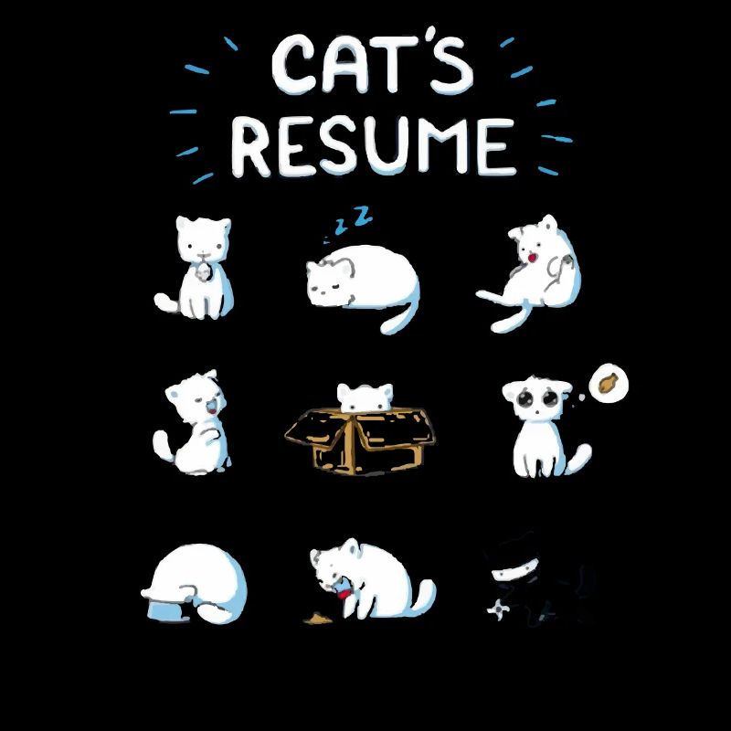 Lustige Katze Katzen Leben
