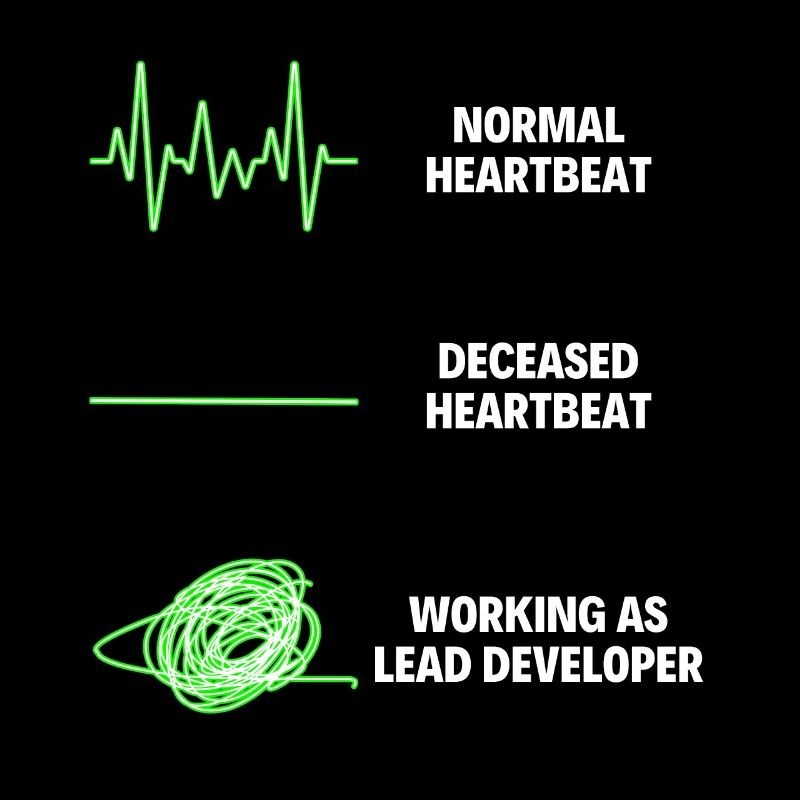 Lead Developer Funny Web Developer Work