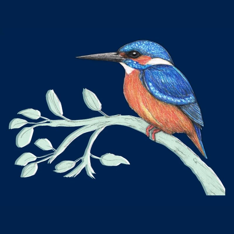 Der Eisvogel