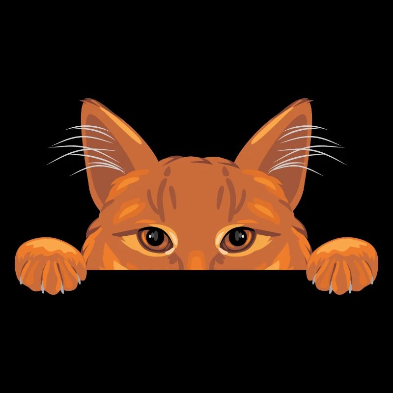 Chat au gingembre