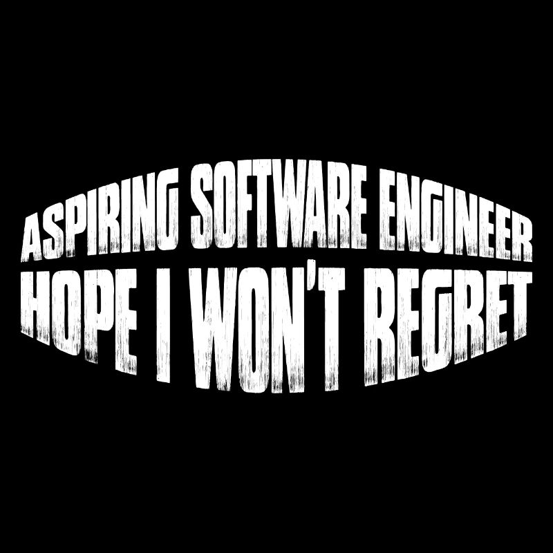 Aspiring Software Engineer, Hope I Won't Regret 4