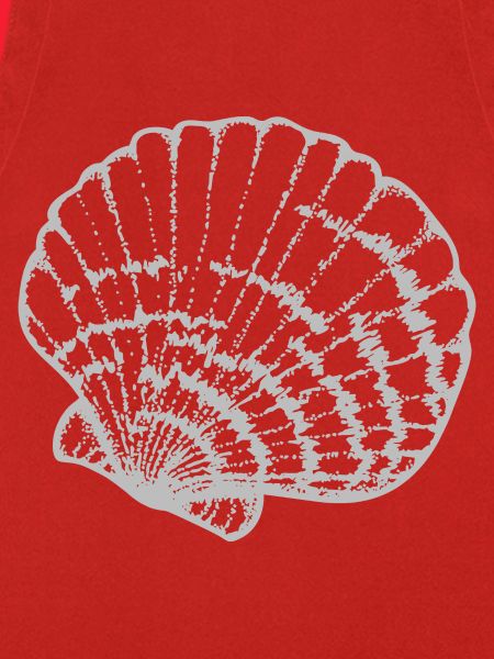 Muschelschale Linienstudie