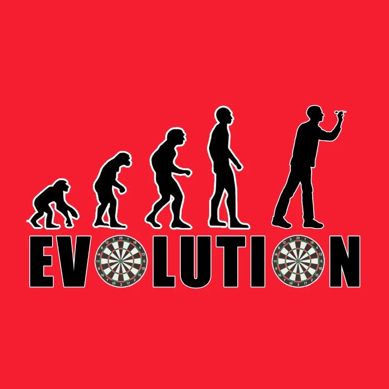 EVOLUTION DARTS Game Arrow Dartboard Gift