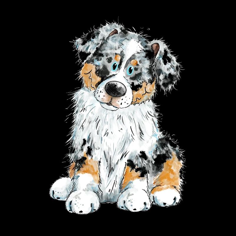 Australian Shepherd Hund Aussie