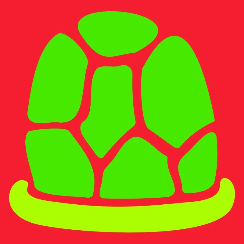 Turtle shell without turtle cute shell fun
