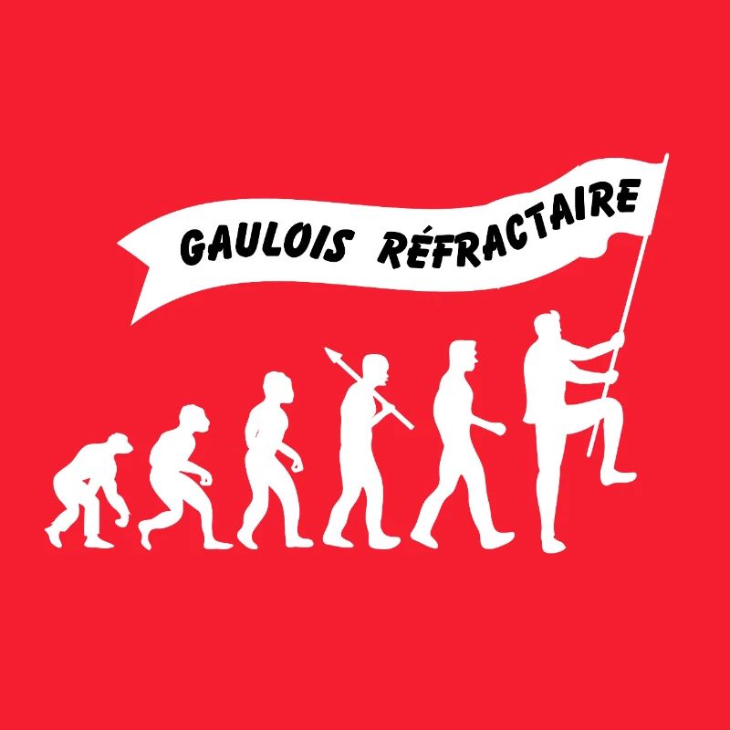 Evolution du gaulois réfractaire
