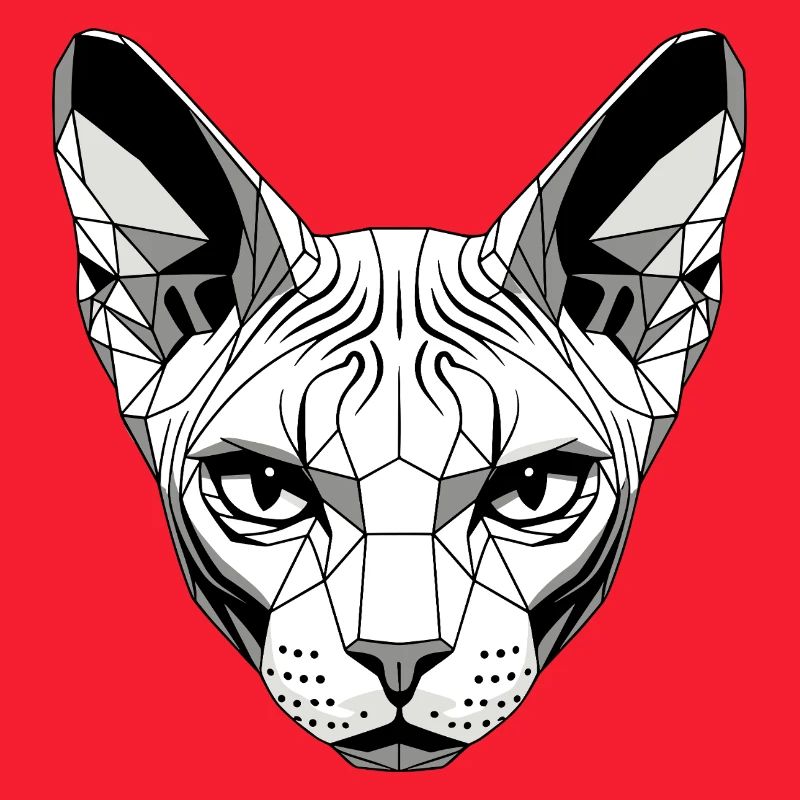 Sphynx Chat Sphynx Chat Chat Canadien Sphinx mignon