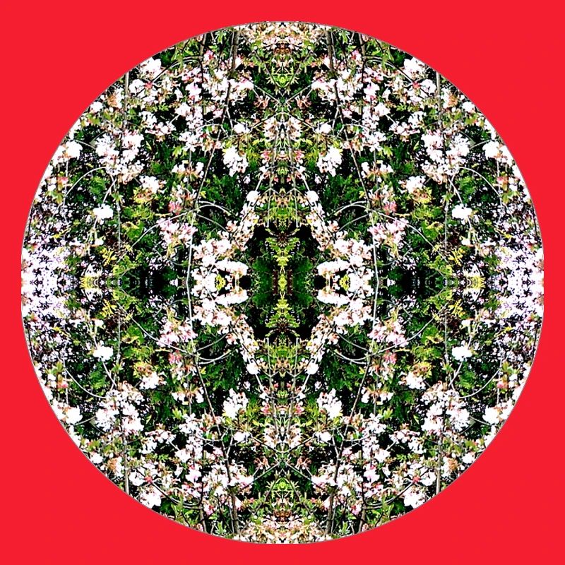 Source du Mandala de la Nature à Nuremberg