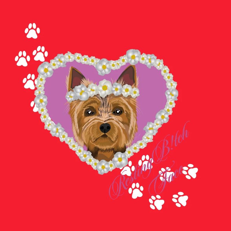Resting B!tch Face Yorksire Terrier