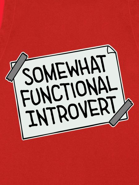 Somewhat Functional Introvert Spruch Logo Text