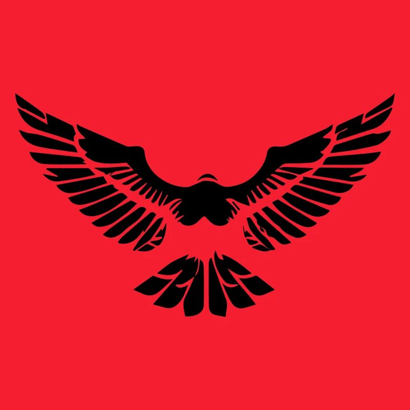 stylized eagle opening its wings in front
