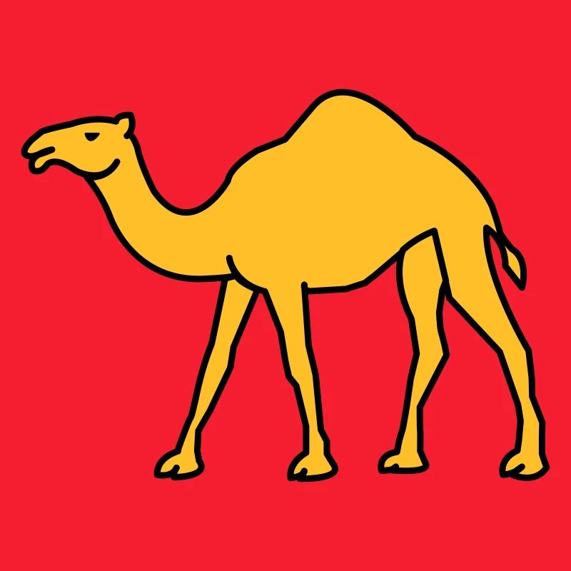 kamel_02