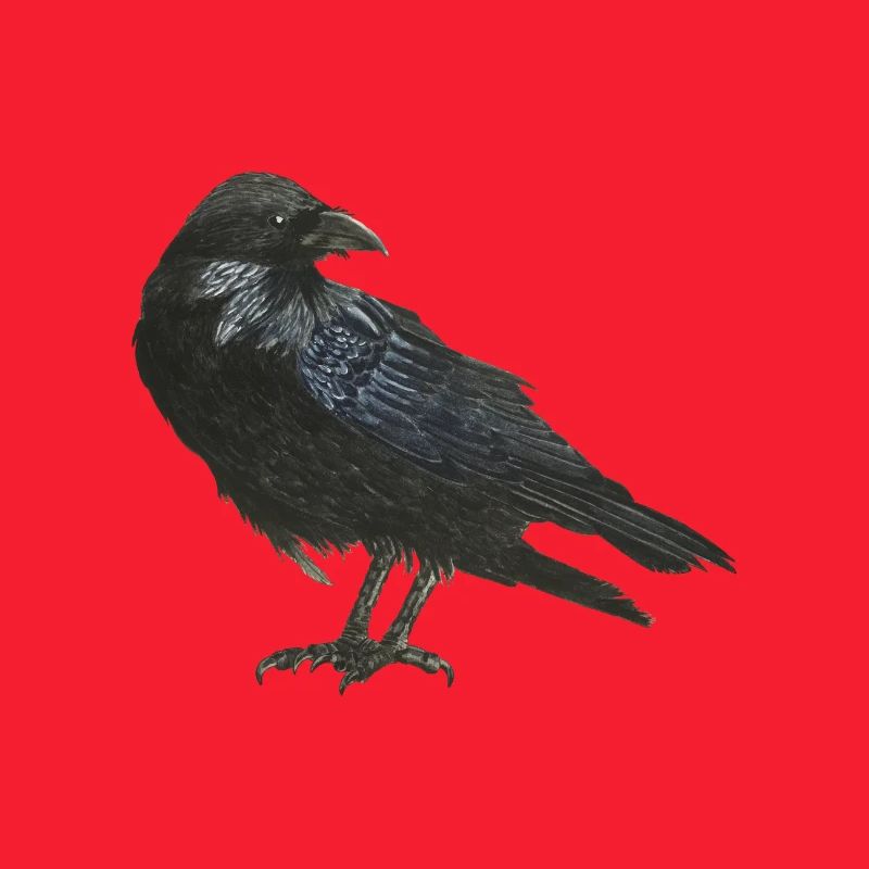Aquarelle Raven Crow