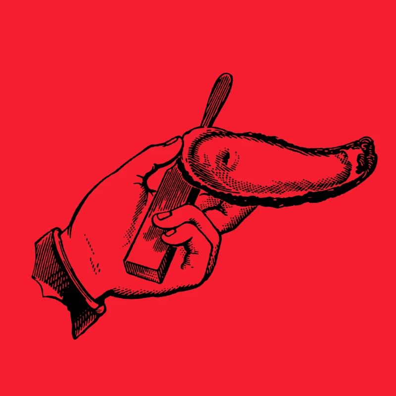Hand with shell